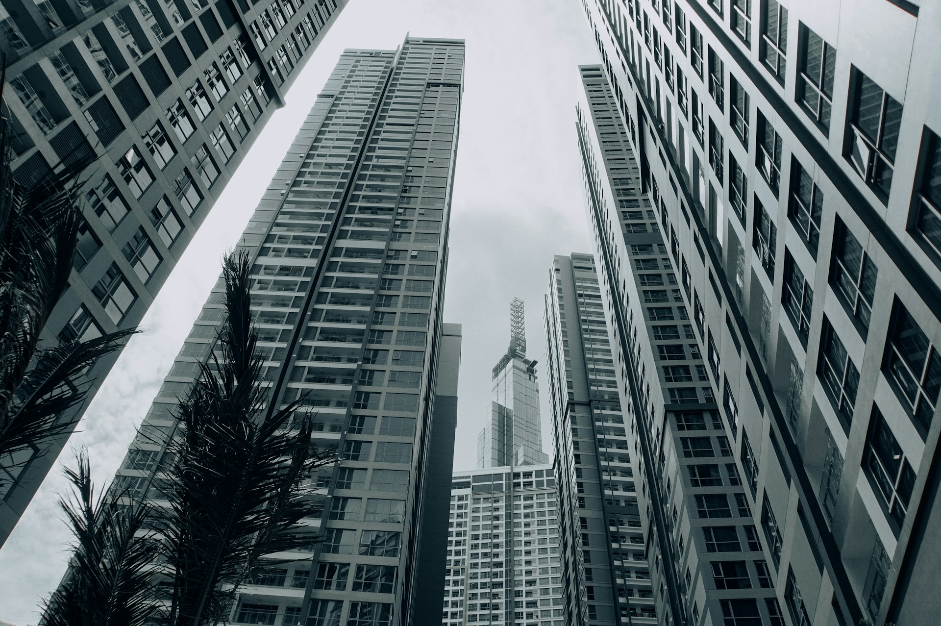 March 2026 Property Market Update